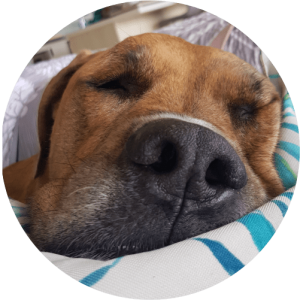 Follow up Remedial Massage - $75.00